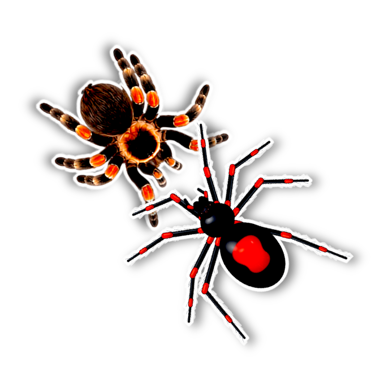 Spider World screenshot